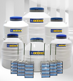 YDS系列，实验室液氮罐