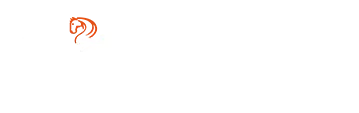 液氮罐价格